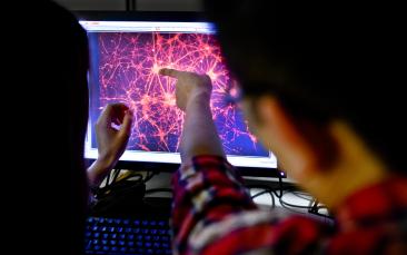 Cover image of A repairable brain: cell reprogramming to halt neurodegenerative disease